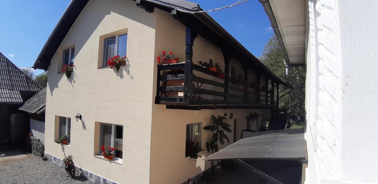 Pensiunea Casa Godja Văleni Exterior foto